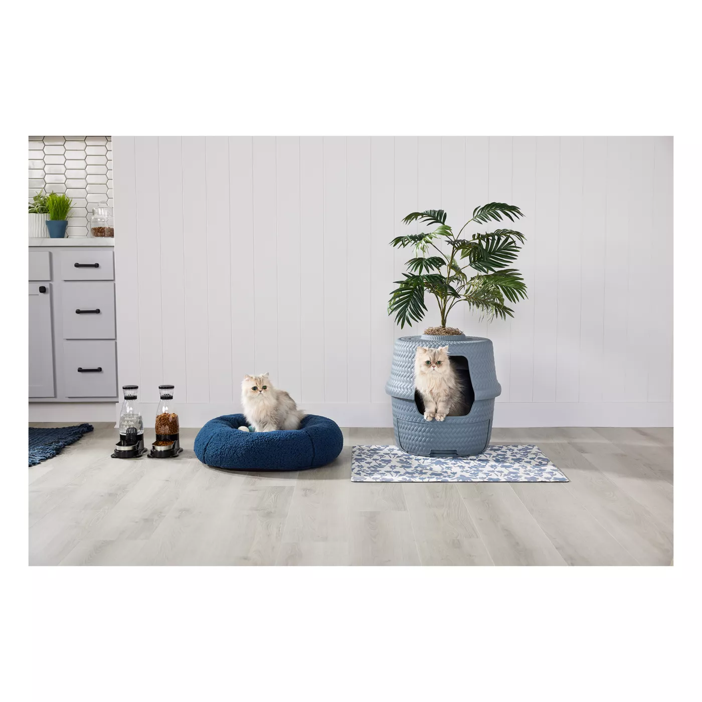 Best Cat Water Bowl Guide: Standard, Elevated, Gravity, and Fountain  Options for Every Cat | TechnoMEOW