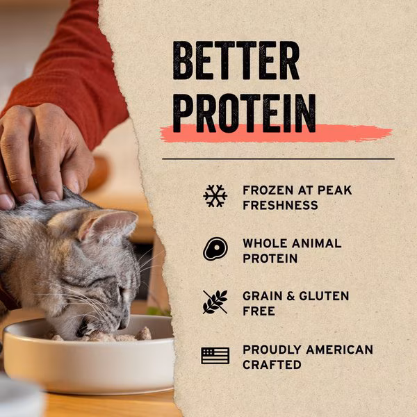 Vital Essential treats for Cats Bugout Bag