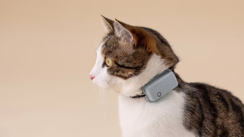Tractive for cats