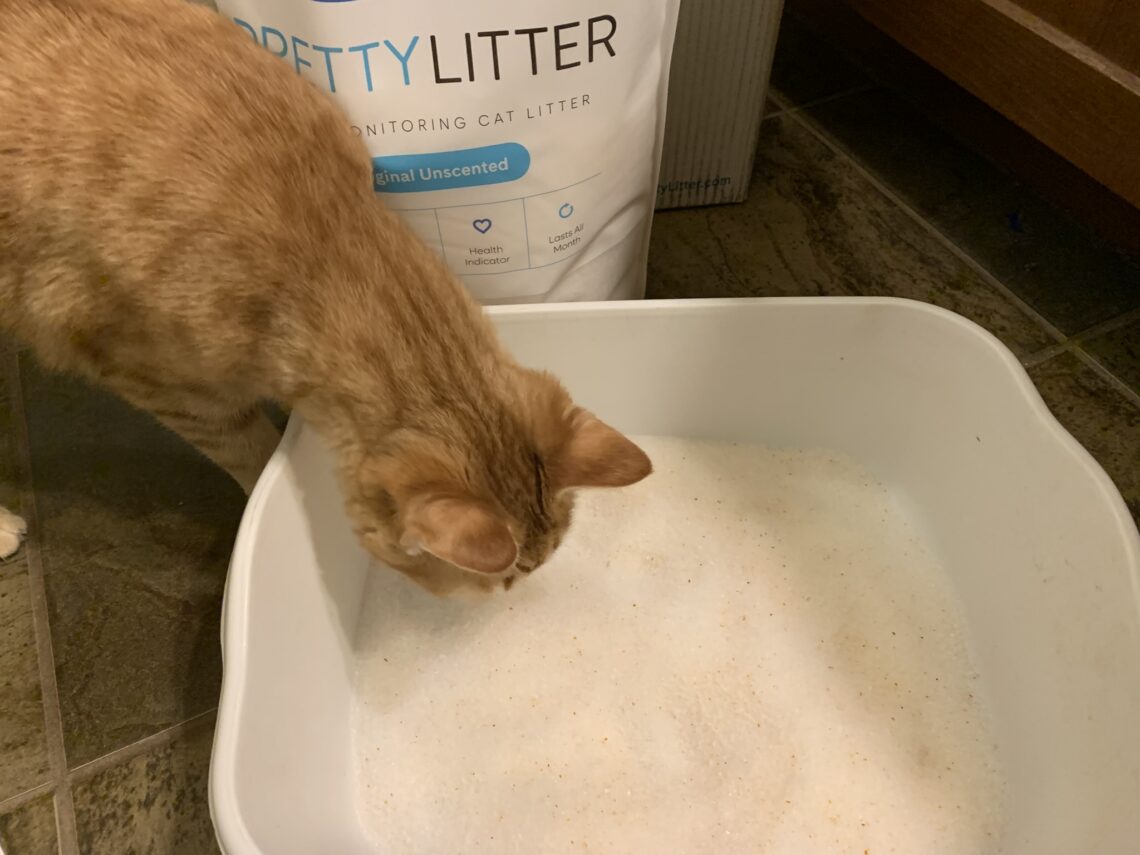 Pretty Litter Review