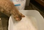 Pretty Litter Review
