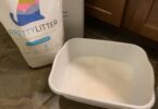 How often to change cat litter pretty litter