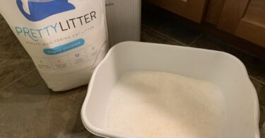 How often to change cat litter pretty litter