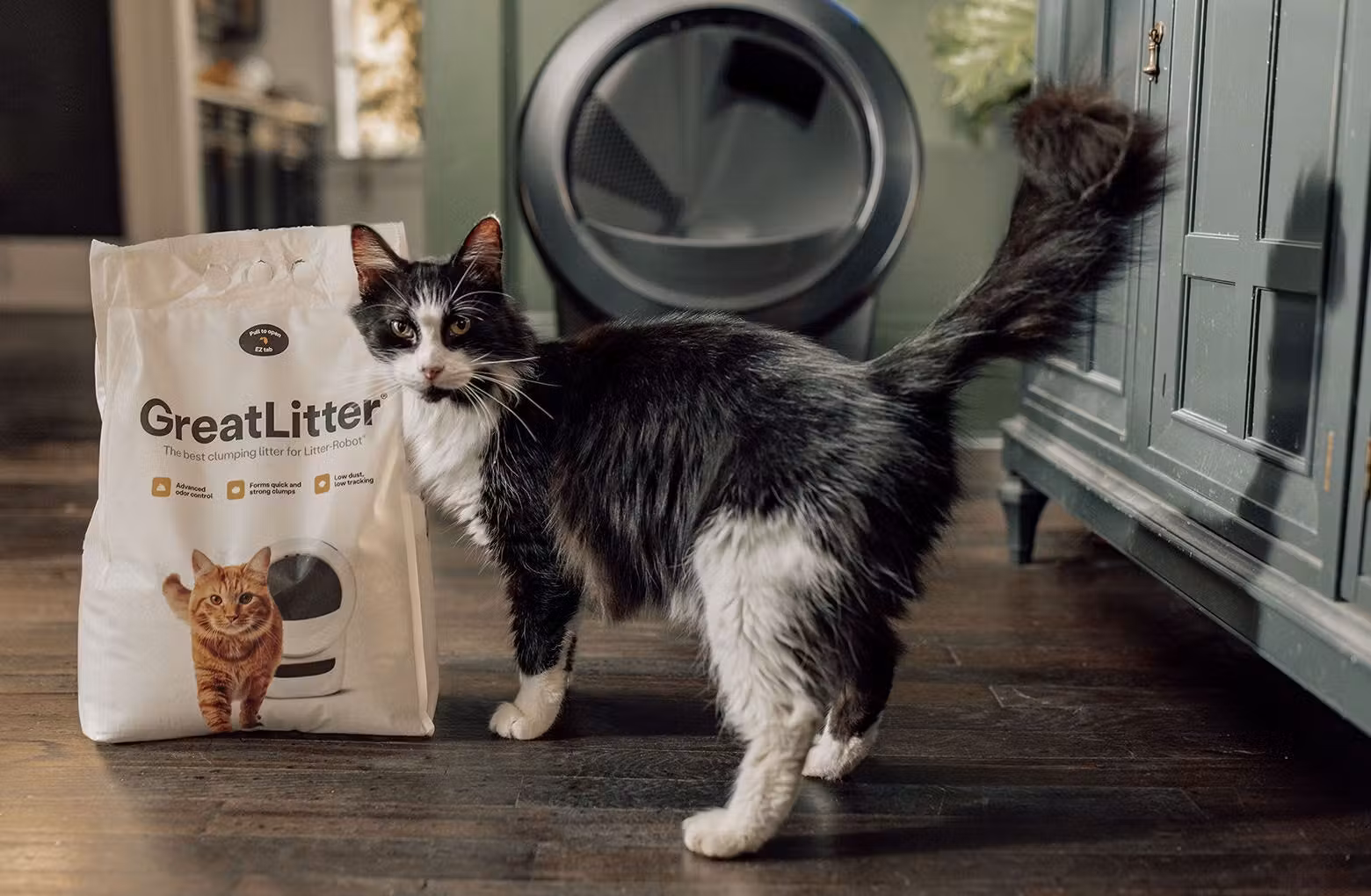 GreatLitter®: Low-Dust, Low-Tracking Cat Litter