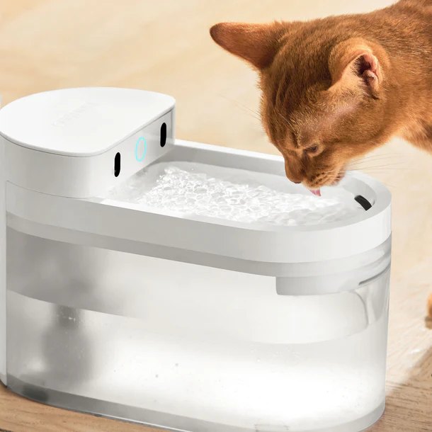 CATLINK AI Water Fountain - Wireless
