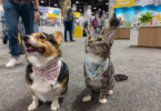 SuperZoo 2025’s Best Cat Products: Wellness, Tech, and Enrichment You’ll Love