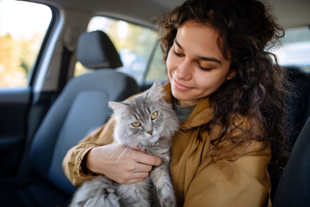 How to Travel with a Cat in a Car Long Distance—Without the Meltdowns
