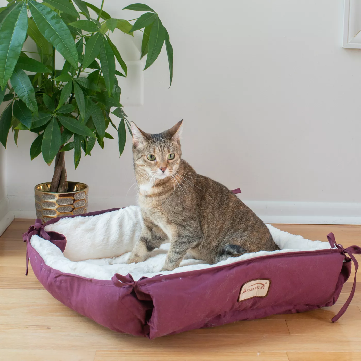 Amarkat Burgundy & Ivory Square or Flat Convertible Cat Bed