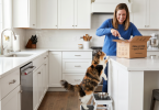 Fresh cat food delivery services