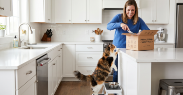 Fresh cat food delivery services