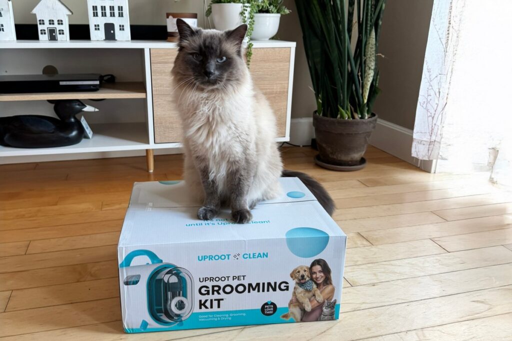 Uproot Clean Grooming Kit for Cats Review