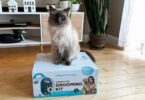 Uproot Clean Grooming Kit for Cats Review