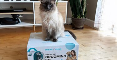 Uproot Clean Grooming Kit for Cats Review