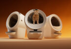 litter robot 5