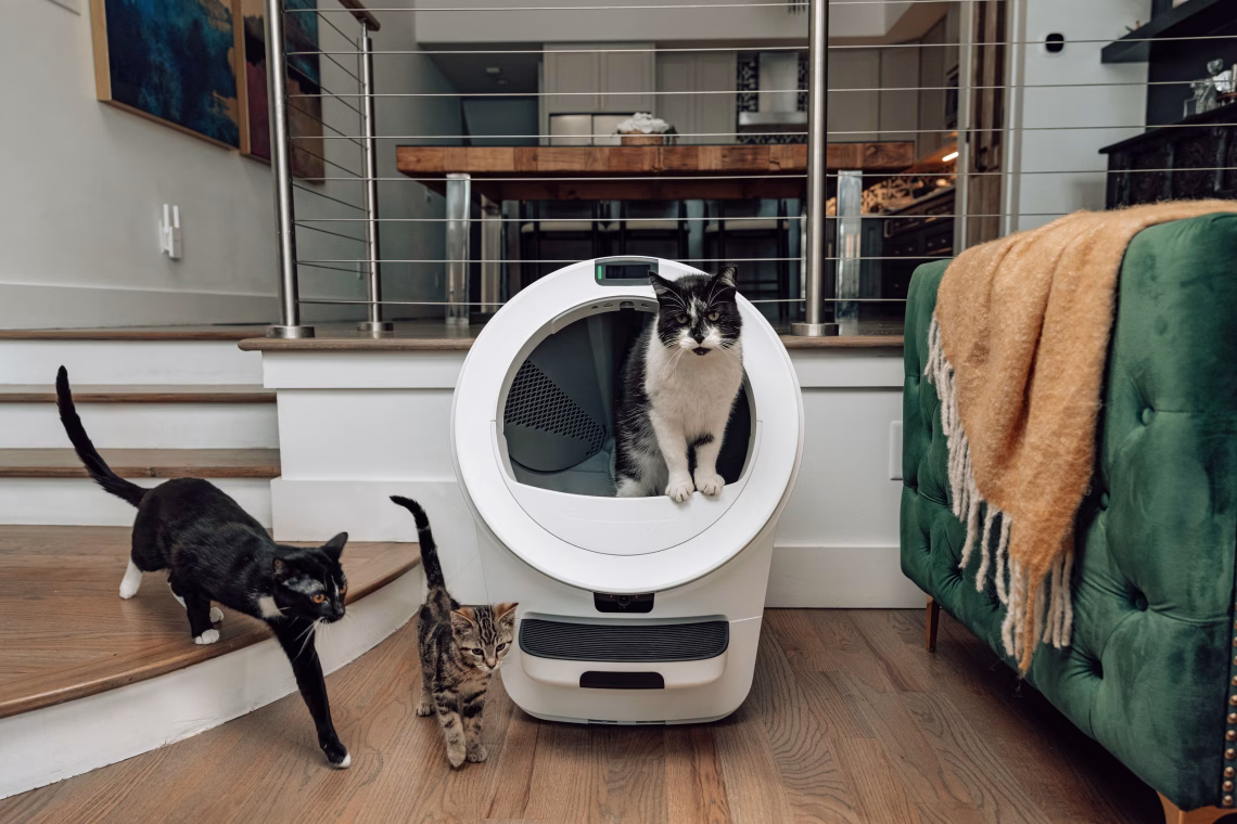 Litter-Robot Is Now FSA/HSA Eligible