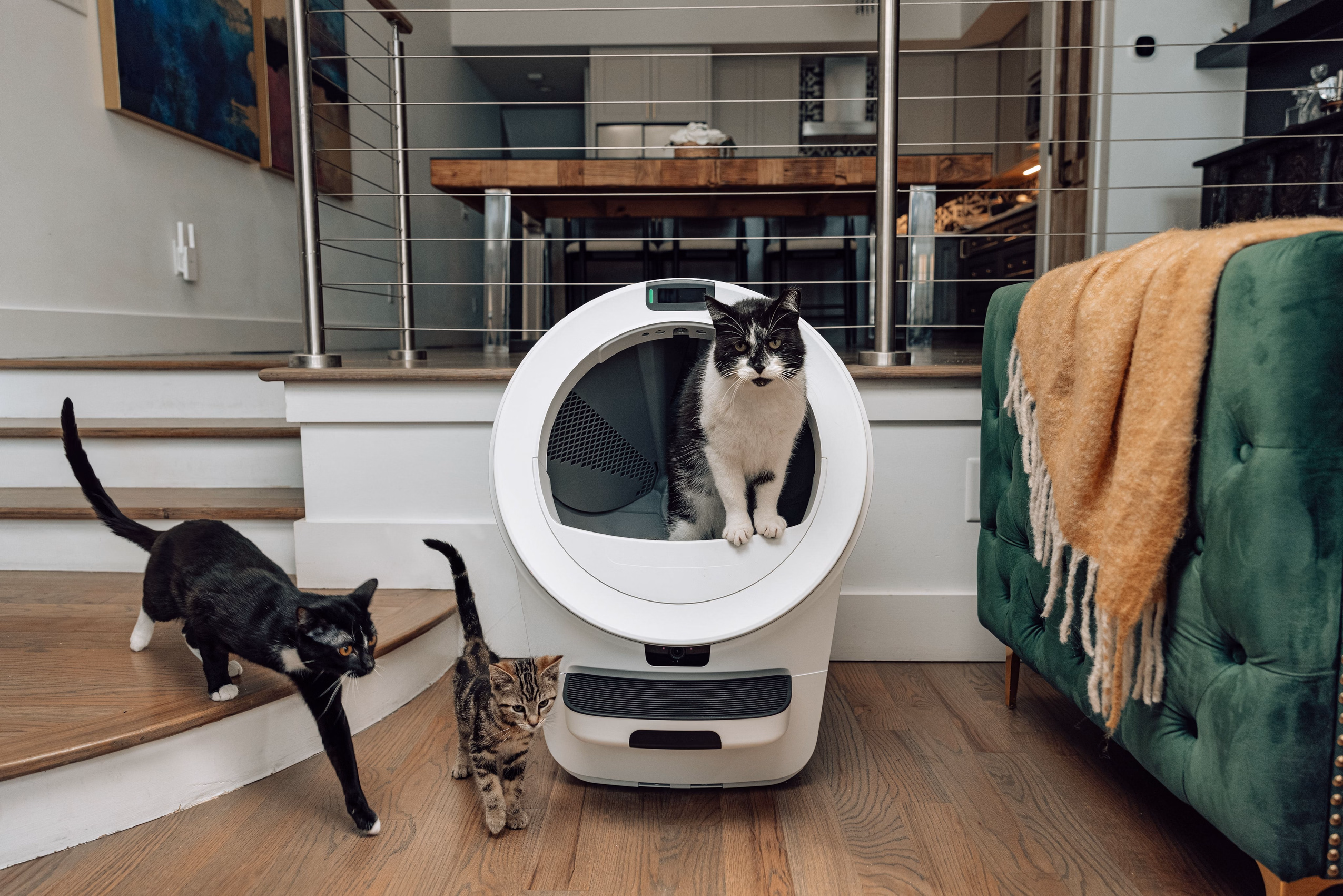 Litter-Robot Is Now FSA/HSA Eligible
