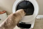 Litter-Robot 5 Pro review