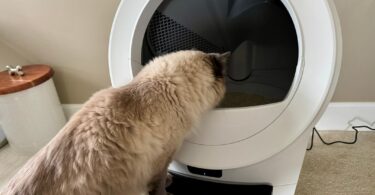 Litter-Robot 5 Pro review