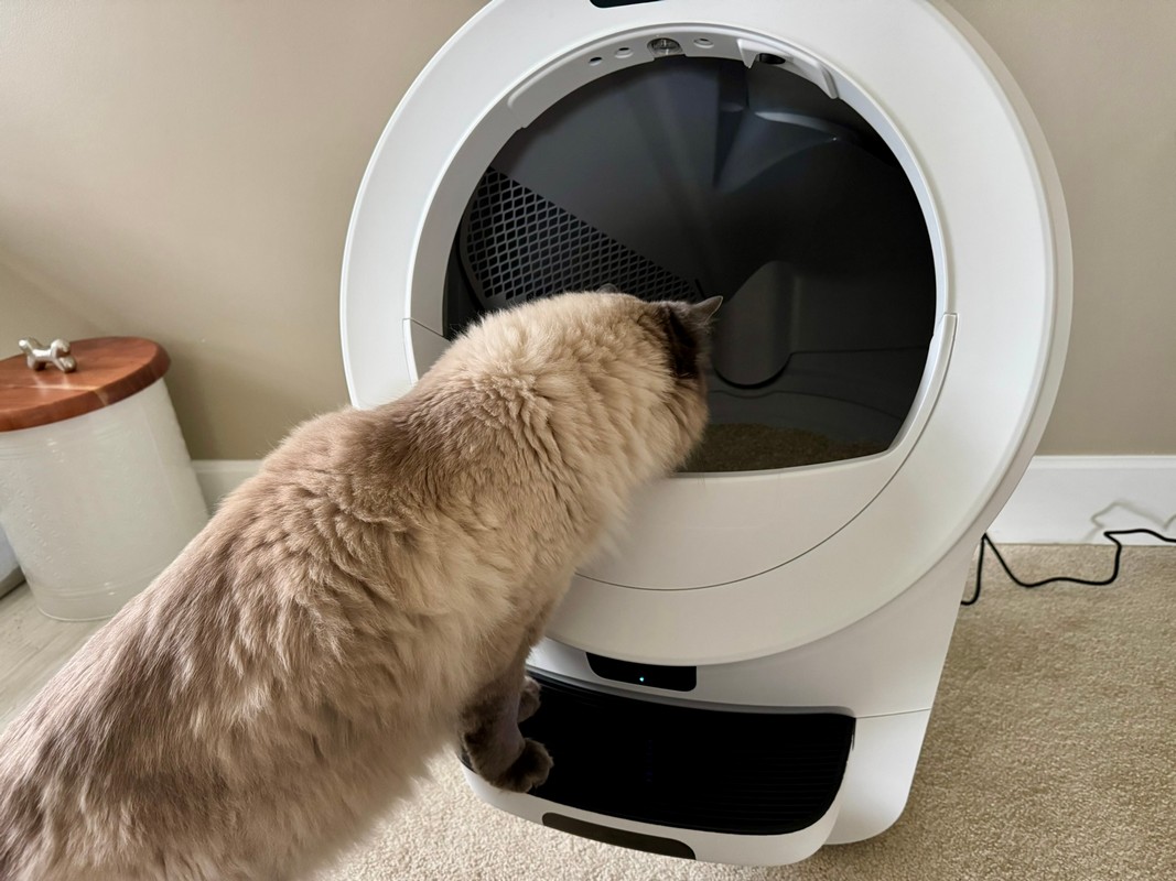 Litter-Robot 5 Pro review