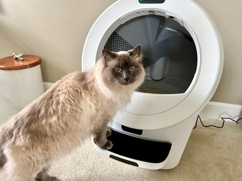 Litter-Robot 5 Pro Review