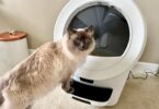 Litter-Robot 5 Pro Review
