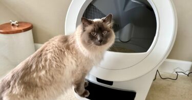 Litter-Robot 5 Pro Review