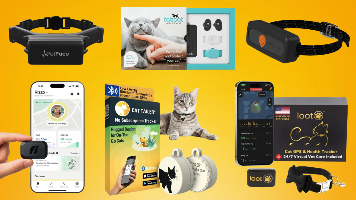 best gps trackers for cats