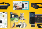 best gps trackers for cats