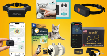 best gps trackers for cats