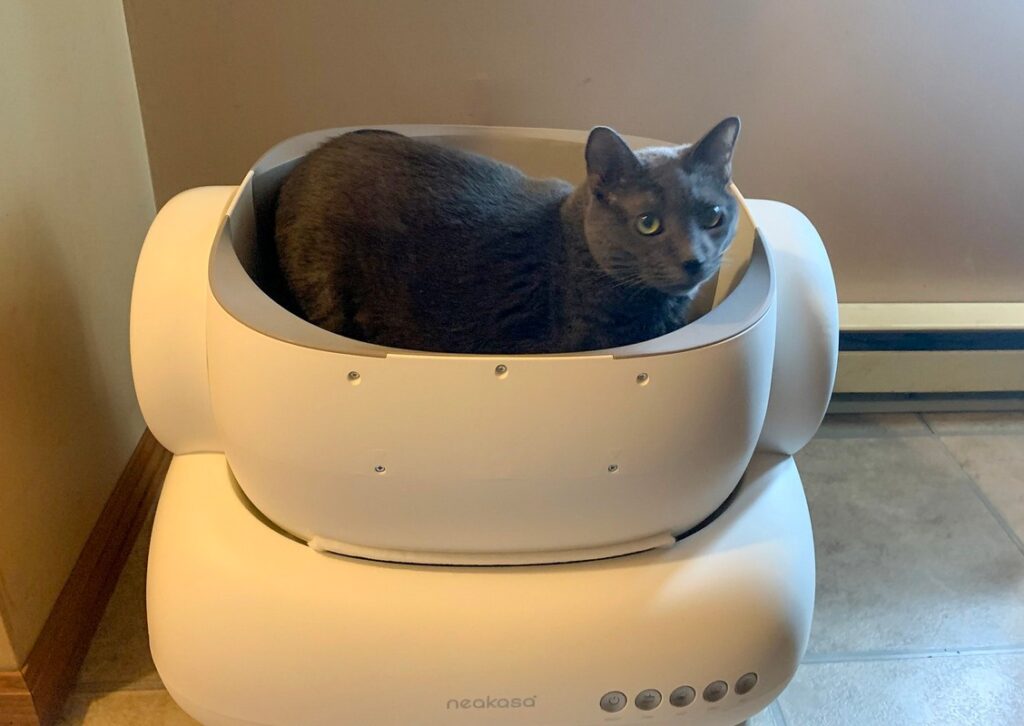 Neakasa M1 Lite Self-cleaning litter box review