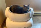Neakasa M1 Lite Self-cleaning litter box review
