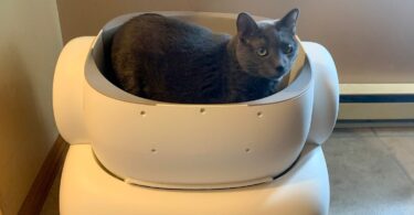 Neakasa M1 Lite Self-cleaning litter box review