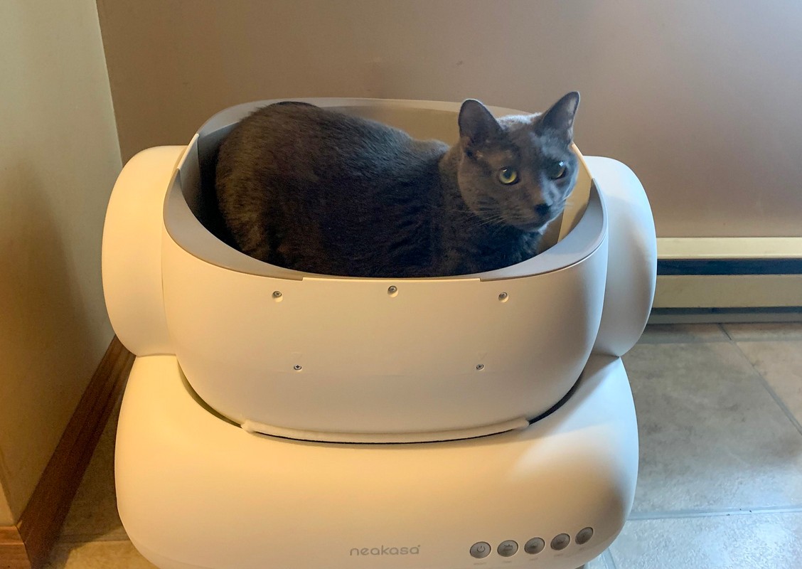 Neakasa M1 Lite Self-cleaning litter box review