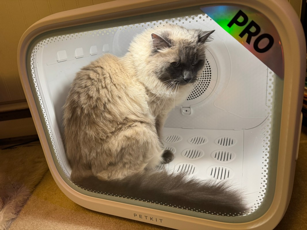 PETKIT AirSalon Max Pro Small Dog & Cat Grooming Dryer Box