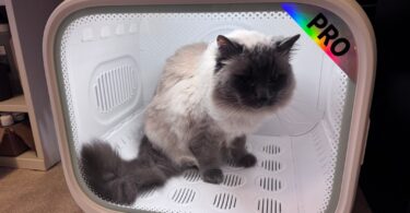 PetKit AirSalon Max Pro review
