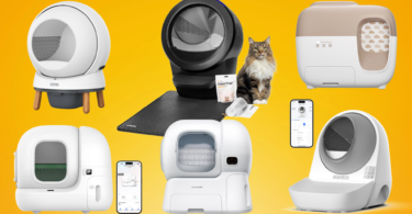 5 Best Self-Cleaning Litter Boxes for Cats in 2026