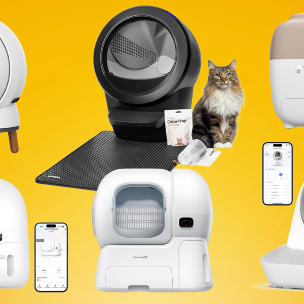 5 Best Self-Cleaning Litter Boxes for Cats in 2026