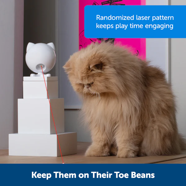 Dancing Dot Laser Cat Toy