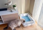 Looking for the best open-top automatic litter boxes? We compare top self-cleaning models for large cats, multi-cat homes, easy cleanup, and more.
