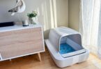PetSafe ScoopFree Crystal Pro Review: A Self-Cleaning Litter Box Even Picky Cats Accept