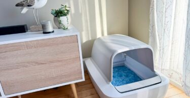 PetSafe ScoopFree Crystal Pro Review: A Self-Cleaning Litter Box Even Picky Cats Accept