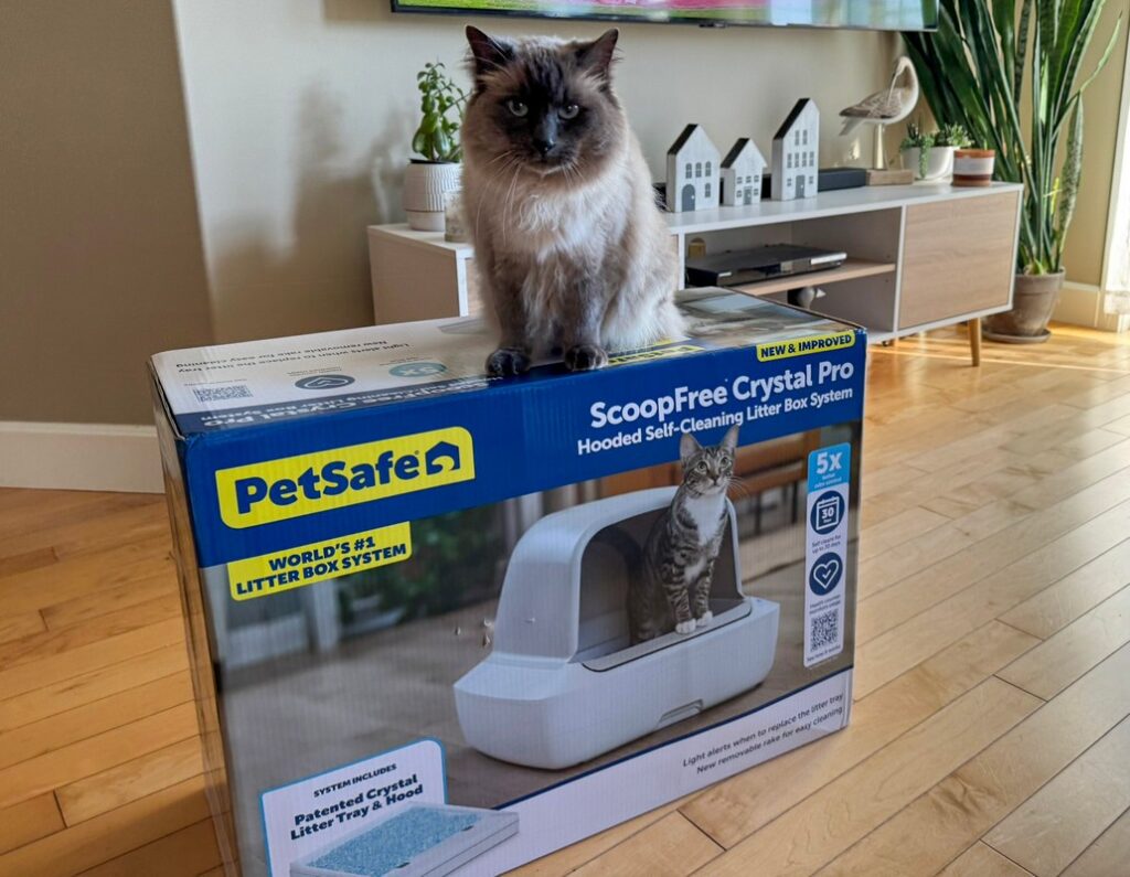 PetSafe ScoopFree Crystal Pro Review: A Self-Cleaning Litter Box Even Picky Cats Accept