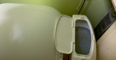 What Cat Litter Works Best with the homerunPET CS106?