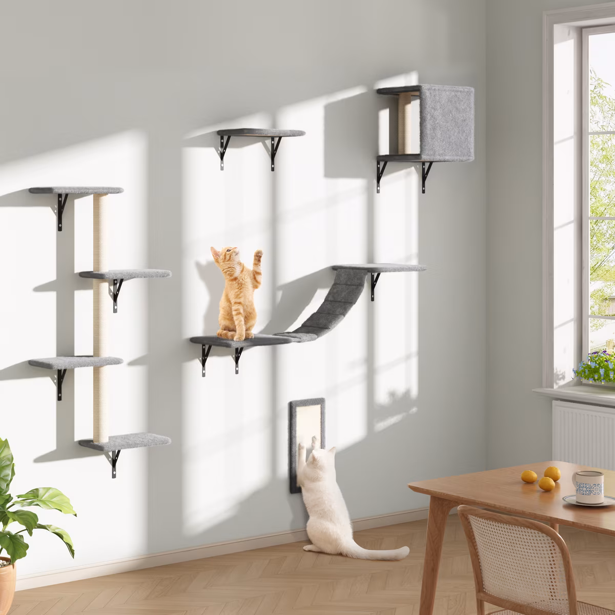 Coziwow Wall Mounted Shelves Set Cat Tree