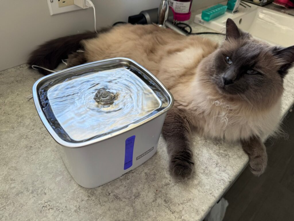 petsafe viva water fountain