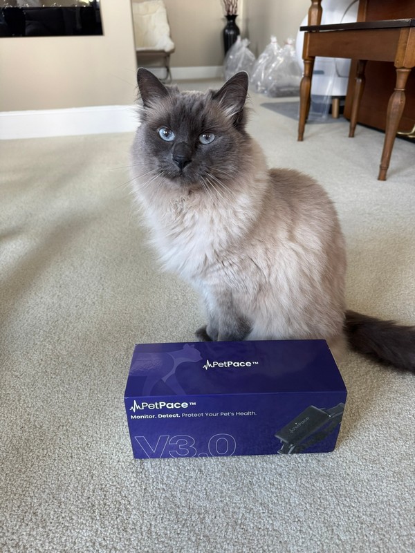 PetPace Smart Cat Collar V3