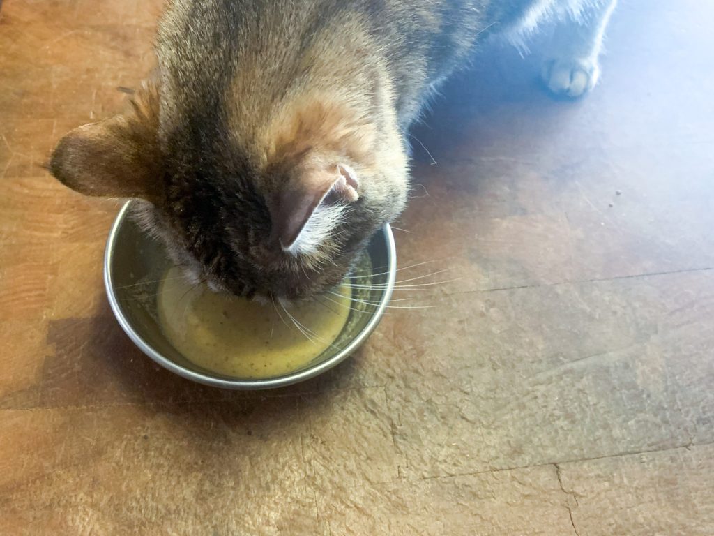 Smalls Cat Food Review