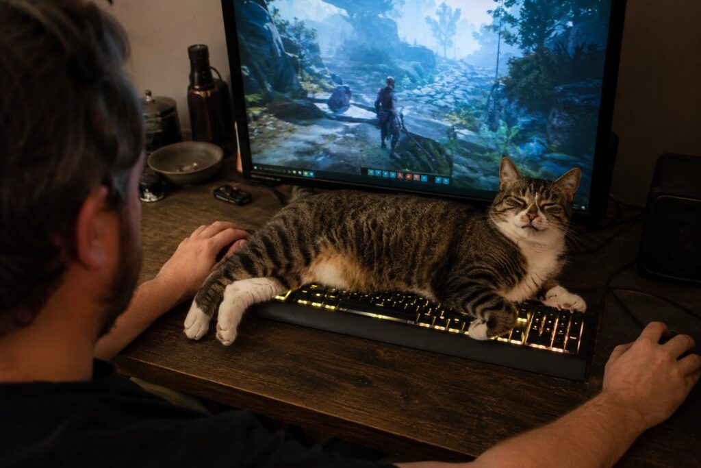 How To Keep Your Cat Happy While You’re Gaming