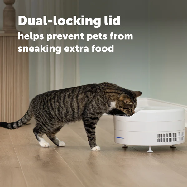 FreshFeed Refrigerated Pet Feeder