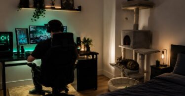 How To Keep Your Cat Happy While You’re Gaming